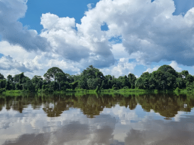 Les merveilles du Niari