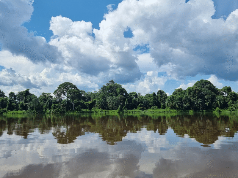 Les merveilles du Niari