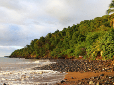 Chroniques de Pointe-Noire